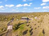 15626 Springfield Street - Photo 41