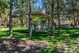 2594 Obrien Court - Photo 54