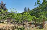 1020 Walker Avenue - Photo 37