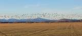 32158 Modoc Point Road - Photo 19