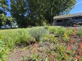 32158 Modoc Point Road - Photo 23