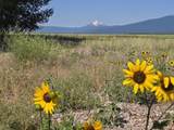 32158 Modoc Point Road - Photo 24