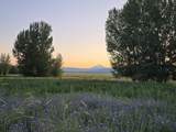 32158 Modoc Point Road - Photo 28