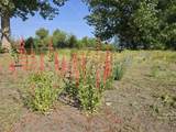 32158 Modoc Point Road - Photo 36