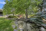 20407 Pine Vista Drive - Photo 46