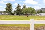 389 Orchard Lane - Photo 42