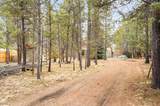56244 Black Duck Road - Photo 23