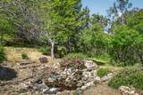 1601 Frank Hill Road - Photo 41