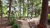 38 Meadow Lane - Photo 69