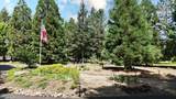 38 Meadow Lane - Photo 71