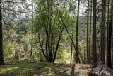 3866 Placer Road - Photo 30