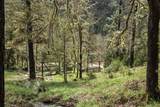 3866 Placer Road - Photo 35