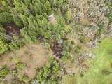3866 Placer Road - Photo 50