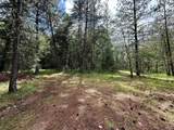 42256 Highway 62 - Photo 30