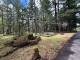 42256 Highway 62 - Photo 5