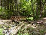 3268 Humbug Creek Road - Photo 33