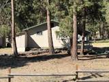 56758 Whitmore Street - Photo 2