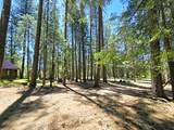 836 Ulrich Road - Photo 32