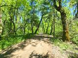 836 Ulrich Road - Photo 39