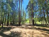 836 Ulrich Road - Photo 41