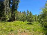 836 Ulrich Road - Photo 5