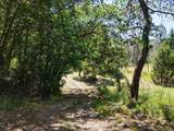 1135 Fork Road - Photo 58