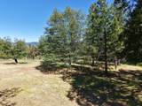 1135 Fork Road - Photo 79