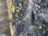  Tableland Road - Photo 10
