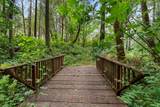 4046 Little Applegate Road - Photo 42