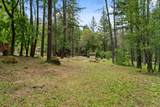 4046 Little Applegate Road - Photo 43