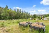 4046 Little Applegate Road - Photo 45