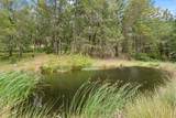 4046 Little Applegate Road - Photo 50