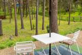 55823 Snow Goose Road - Photo 26