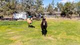 8516 33rd Street - Photo 41