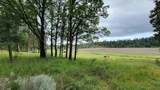 0 Merganser Road - Photo 10