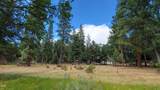 0 Merganser Road - Photo 3