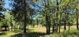 0 Merganser Road - Photo 6