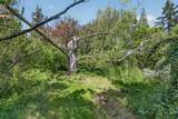 324 Liberty Street - Photo 32