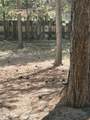 148829 Paul Drive - Photo 10