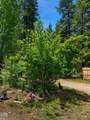 16024 Leona Lane - Photo 5
