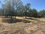  Merlin Sanitarium Road - Photo 1