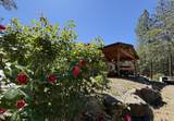 4527 Evans Creek Road - Photo 2