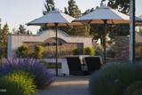 11500 Canyons Ranch - Photo 8