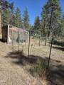 31710 Spaniel Lane - Photo 43