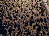 0 Bear Valley Road - Photo 4