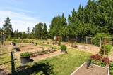693 Horizon Hills Road - Photo 45