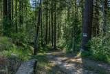 8245 Jumpoff Joe Creek Road - Photo 40