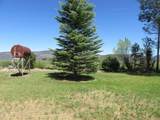 2917 Shady Dell Road - Photo 34