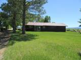 2917 Shady Dell Road - Photo 36