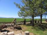2917 Shady Dell Road - Photo 42